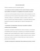 TEMAS DE REFLEXIÓN Presupuesto