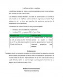 Ensayo DVR 8 canales