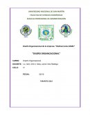 Diseño Organizacional Multiservicios “Pollo Gordo”