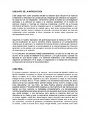 Adelanto de la introduccion. Caso real