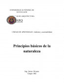 Ambiente y sustentabilidad Principios basicos