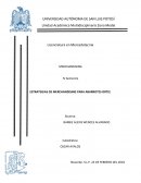 ESTRATEGIAS DE MERCHANDISING PARA ABARROTES ORTIZ.