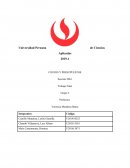 Costos empresa Alida S.A