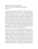 AREA: CONTROL A LA CONTAMINACION DE RECURSO AIRE