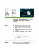 Investigación de Biofísica