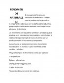 Procesamiento del suelo