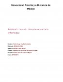 Actividad 2 Unidad 2. Historia natural de la enfermedad