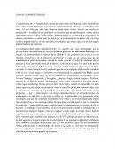 ENSAYO COMPETITIVIDAD