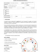 INFORME COMPLEMENTARIO REPORTE A3
