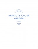 IMPACTO DE POUCION AMBIENTAL
