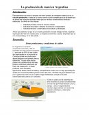 El Proceso del Mani en Argentina