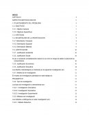 OPTIMIZACION DE LA PRODUCCIÓN LECHERA A TRAVÉS DEL ENSILAJE DE MAÍZ