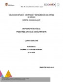 PROYECTO TRANSVERSAL: PRODUCTOS AMIGABLES CON EL AMBIENTE