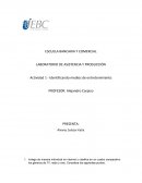 LABORATORIO DE ASISTENCIA Y PRODUCCIÓN Actividad 1 - Identificando medios de entretenimiento