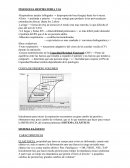 FISIOLOGIA RESPIRATORIA VAS