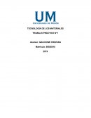 TECNOLOGÍA DE LOS MATERIALES TRABAJO PRÁCTICO N°1