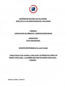 Análisis y crítica al EIA “ALTERNATIVA A RN38: FIN PUENTE COSTA AZUL - LA CUMBRE SECCIÓN FIN PUENTE COSTA AZUL - COSQUÍN”