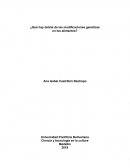¿Qué hay detrás de las modificaciones genéticas en los alimentos?