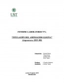 INFORME LABORATORIO N°1: “TITULACIÓN DEL AMINOACIDO GLICINA”