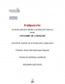 Resumen ejecutivo Pulpa de chayote