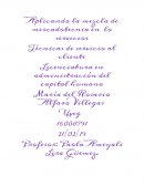 Aplicando la mezcla de mercadotecnia en lo servicios