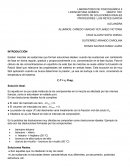 REPORTE DE SOLUCIONES IDEALES
