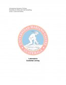 Laboratorio Diagramar y analizar el “Customer Jorney”, tomando en cuenta los siguientes aspectos