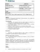 Analizar el diseño organizacional de la empresa