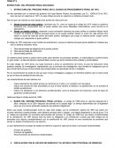 TEMA Nº 9. ESTRUCTURA DEL PROCESO PENAL BOLIVIANO