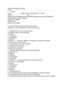 PRUEBA FIGURAS RETÓRICAS