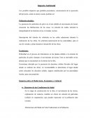 Elaboracion y evaluacion de proyecto. Impacto Ambiental