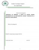 Obtencion de biodiesel a partir de aceites usados provenientes de los restaurantes, cocinas y negocios de la region de ciudad Serdan