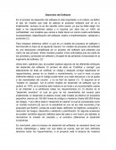 Tecnicas de recopilacion de informacion. Desarrollo del Software