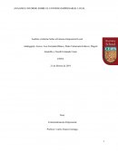 Análisis e Informe Sobre el Entorno Empresarial Local