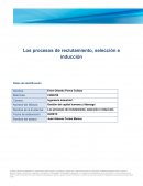 Procesos de reclutamiento, seleccion e induccion