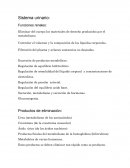 Funciones renales