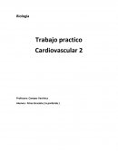 Trabajo practico Cardiovascular 2