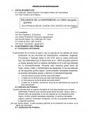 Productividad de la Avena en grano