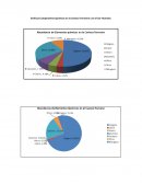 Graficos Comparativos Quimicos en la Corteza Terrestre y en el Ser Humano