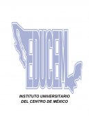 Derecho constitucional. ACTO JURÍDICO Y PERSONAS
