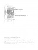 ENERGIA ESPECÍFICA EN CANALES ABIERTOS