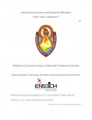 Ideas principales “Innovación educativa y desarrollo profesional docente”