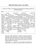 Importancia de los HMA