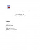 Explicación de Proyecto “Limpieza de Baños”