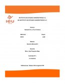 Actividad N°1: La empresa