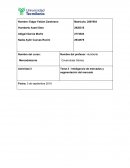 Inteligencia de mercados y segmentación del mercado