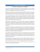 LA CUENTA DE AHORRO DE LA CONFIANZA