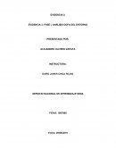 Evidencia 3: Fase I, Análisis DOFA del entorno