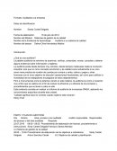 Auditoria a un sistema de calidad