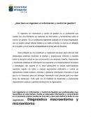¿Qué hace un ingeniero en información y control de gestión?